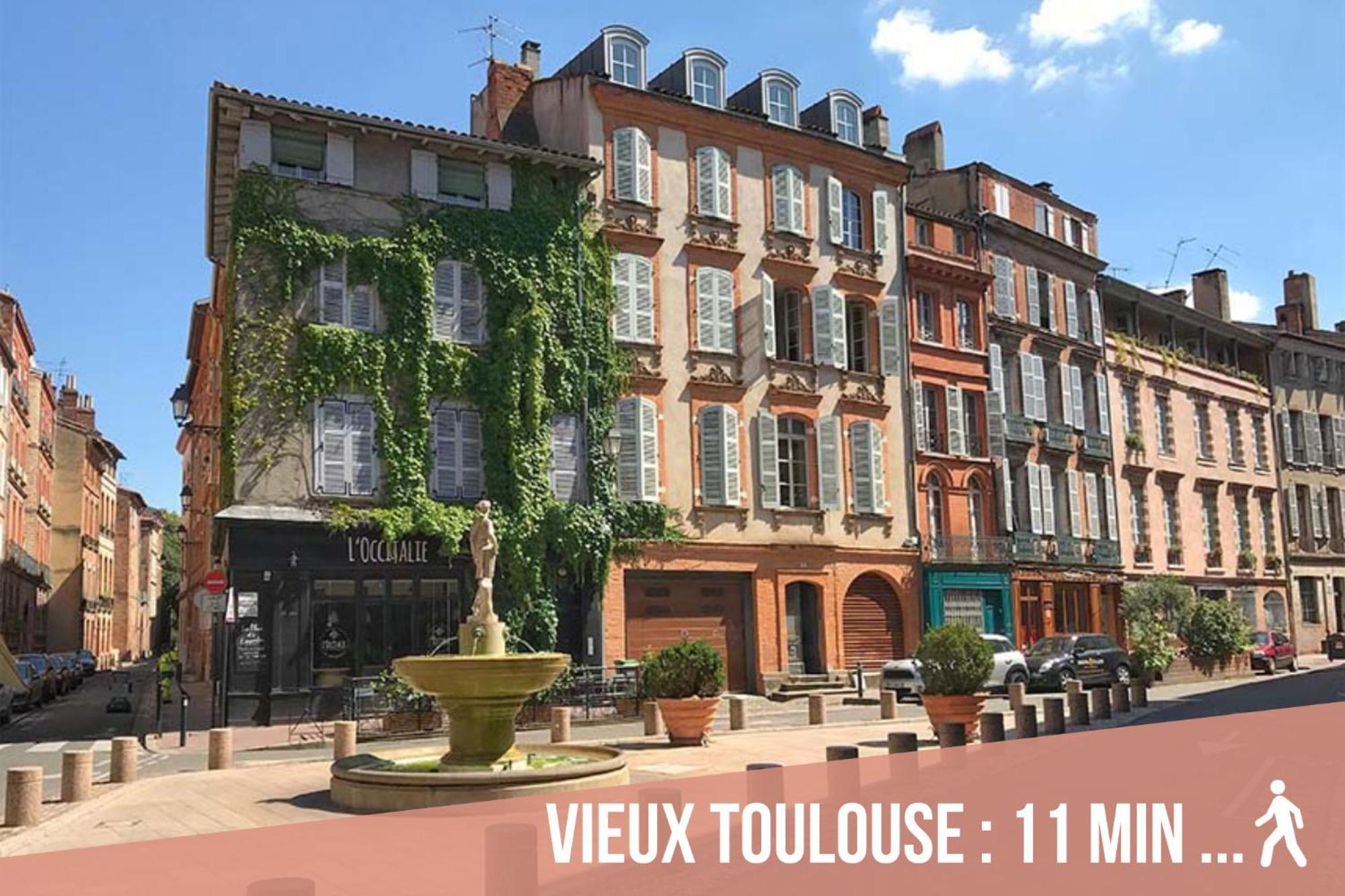 Chartreuse, Clim, Parking, Terrasse Au Calme Toulouse Exterior foto