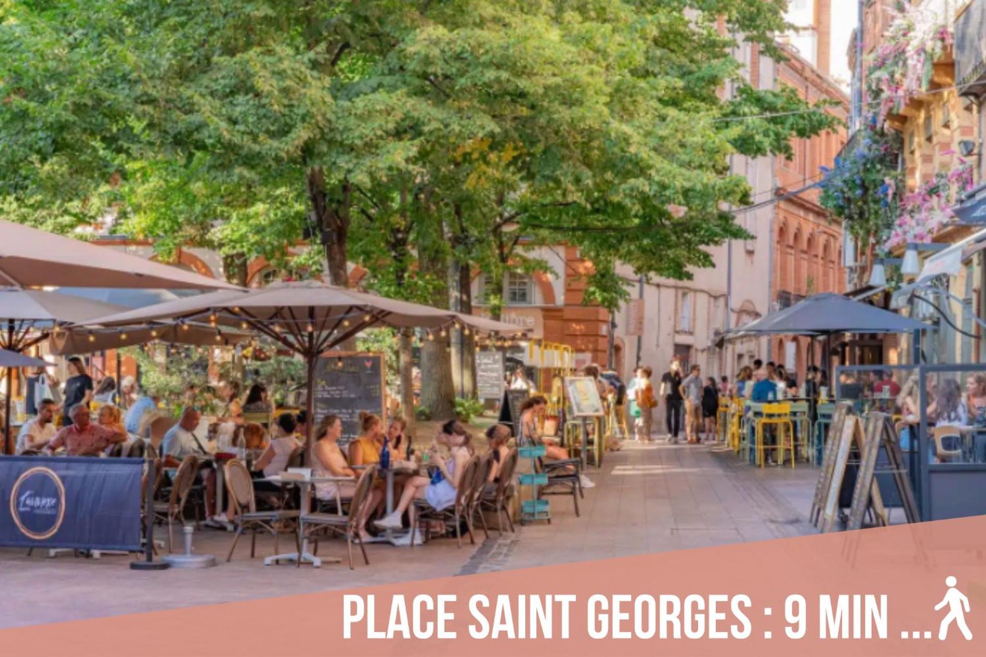Chartreuse, Clim, Parking, Terrasse Au Calme Toulouse Exterior foto